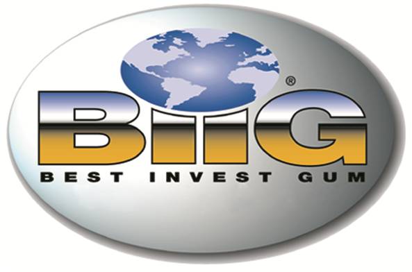 biig logo